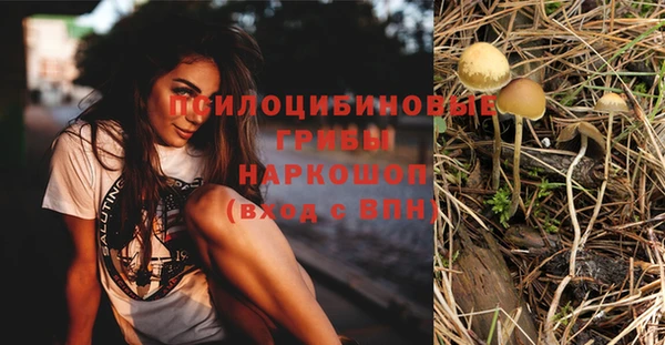 трава Белоозёрский